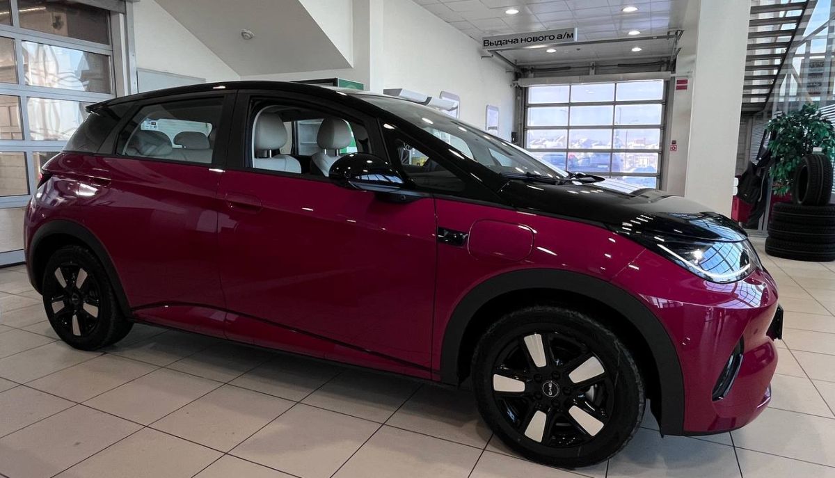 BYD DOLPHIN (7).jpg